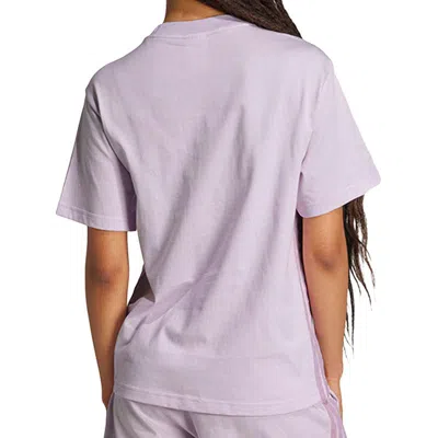 Adidas Originals (wmns) Adidas Logo T-shirt 'pink' In Purple