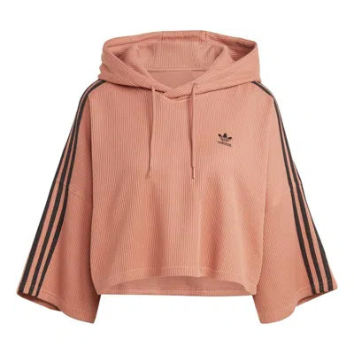 Adidas Originals (wmns) Adidas Adicolor Cropped Hoodie 'pink'