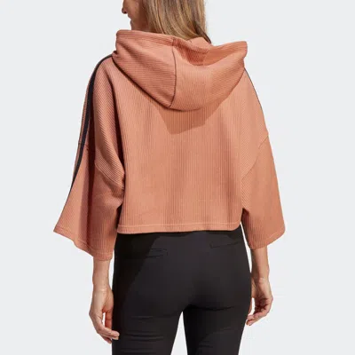 Adidas Originals (wmns) Adidas Adicolor Cropped Hoodie 'pink'