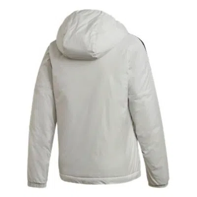 Adidas Originals (wmns) Adidas Essentials Thermal Hooded Jacket Asia Sizing 'grey' In Gray