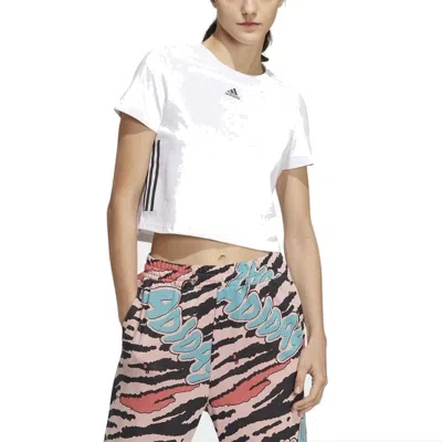 Adidas Originals (wmns) Adidas Apxj Ss T-shirt 'white Black'