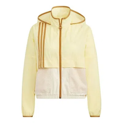 Adidas Originals (wmns) Adidas Neo Util Windbreaker Jackets 'yellow'