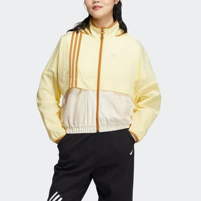 Adidas Originals (wmns) Adidas Neo Util Windbreaker Jackets 'yellow'