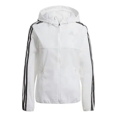 Adidas Originals (wmns) Adidas Windbreaker Jacket 'white' In Gray
