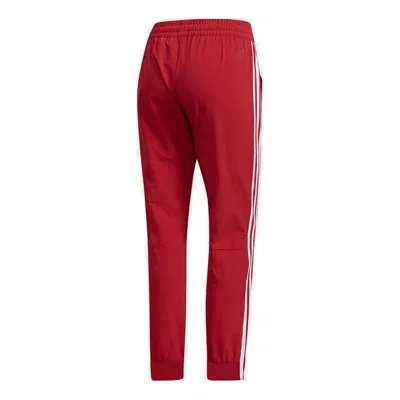 Adidas Originals (wmns) Adidas Knit Sweatpants 'red'