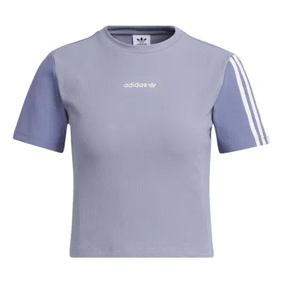 Adidas Originals (wmns)  Crop T-shirts 'purple'
