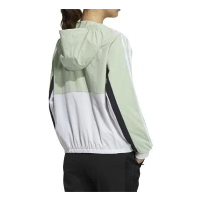 Adidas Originals (wmns) Adidas Hooded Jacket 'green White' In Multi