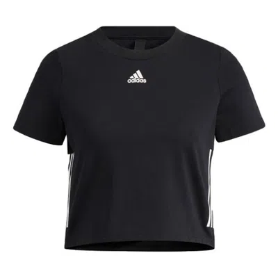 Adidas Originals (wmns) Adidas Apxj Ss T-shirt 'black White' In Multi