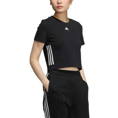 Adidas Originals (wmns) Adidas Apxj Ss T-shirt 'black White' In Multi