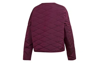 Adidas Originals (wmns) Adidas W Zne Padded Jk Cardigan Casual Sports Jacket Wine Red In Burgundy