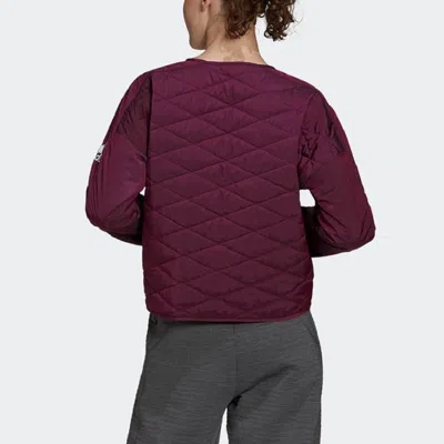 Adidas Originals (wmns) Adidas W Zne Padded Jk Cardigan Casual Sports Jacket Wine Red In Burgundy
