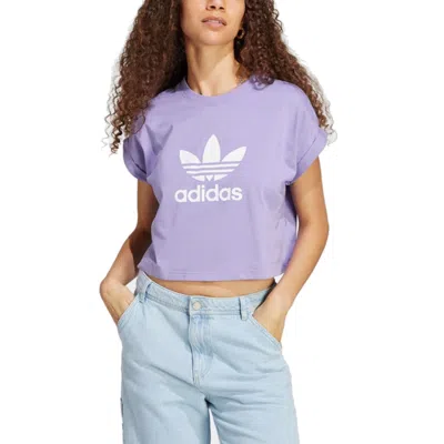 Adidas Originals (wmns) Adidas Adicolor Classics Short Trefoil T-shirt Asia Sizing 'purple White'