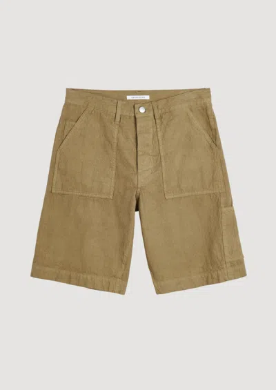 Sunflower Wide Twist In Brown