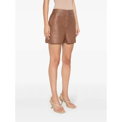 Fendi Brown Shorts In Multi
