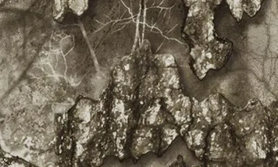 Jordan Realtree Cotton Graphic T-shirt In Green