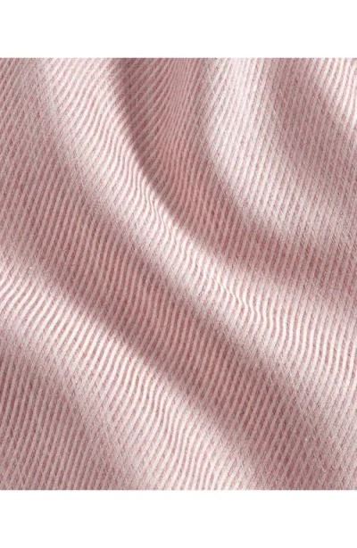 David Donahue Solid Sport Shirt In Pink