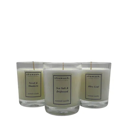 Shamash Candle Studio Neutrals Aegean Reverie Collection Candles 3 X 230 Gr In Neutral