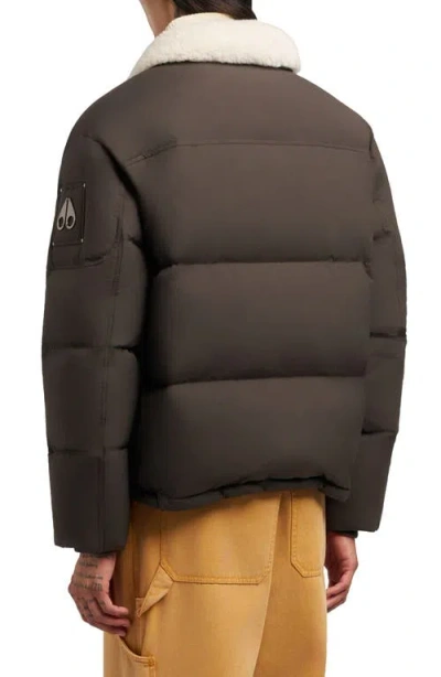 Moose Knuckles Everest Fleece Collar Down Puffer Jacket In Brown