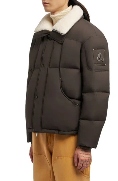 Moose Knuckles Everest Fleece Collar Down Puffer Jacket In Brown