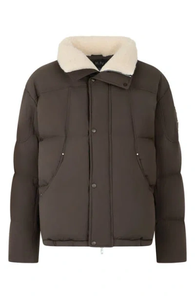 Moose Knuckles Everest Fleece Collar Down Puffer Jacket In Brown