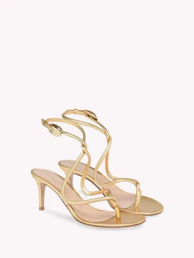Gianvito Rossi Jungle Mamba 70 Thong In Gold