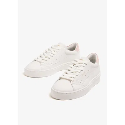 Axel Arigato Court Sneakers In Multi