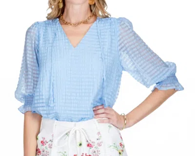 Jade V-neck Organza Blouse In Light Blue In Multi