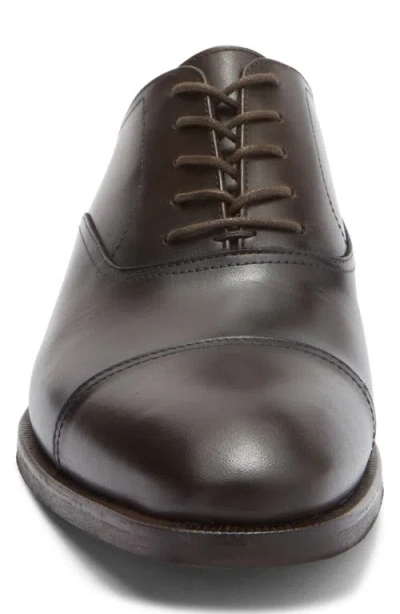 To Boot New York Southpoint Cap Toe Oxford In Brown