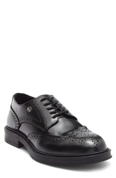 Roberto Cavalli Crip Wingtip Derby In Black