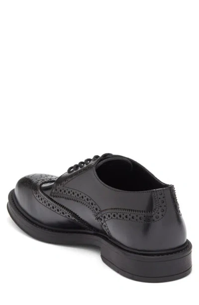 Roberto Cavalli Crip Wingtip Derby In Black