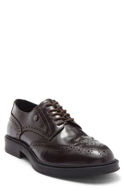 Roberto Cavalli Crip Wingtip Derby In Brown