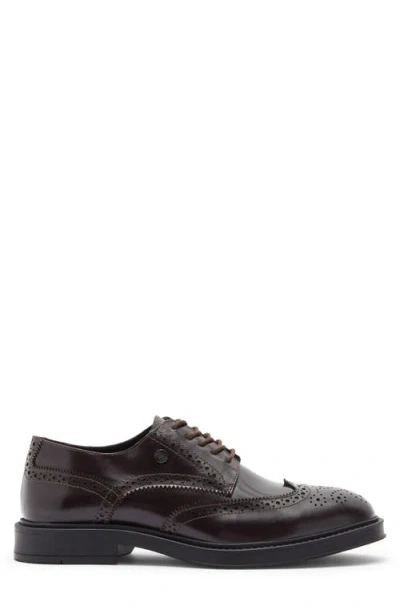 Roberto Cavalli Crip Wingtip Derby In Brown