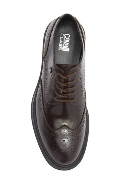 Roberto Cavalli Crip Wingtip Derby In Brown