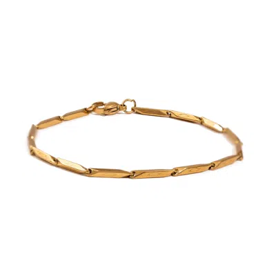 Ebru Jewelry Men's Golden Strength Men's Chain Bracelet - Gold In Gold
