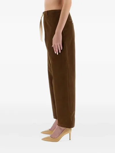 Moschino Corduroy Pants In Brown