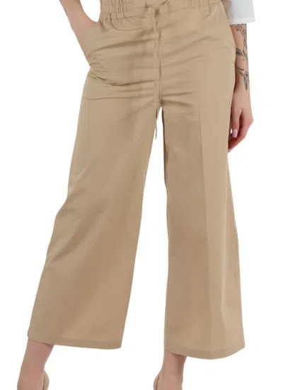 Emme Marella Pants In Brown