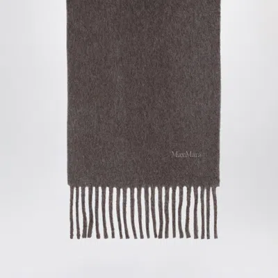 Max Mara Wool Scarf In Dove Grey In Gray