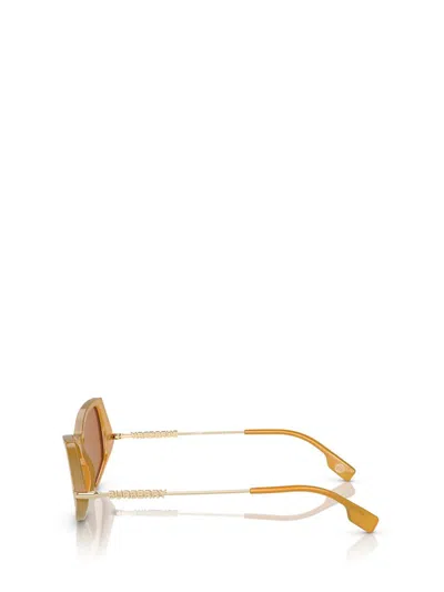 Burberry Sunglasses In Brown