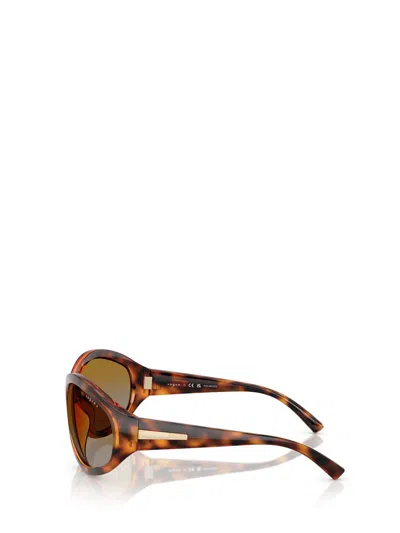 Vogue Eyewear Sunglasses In Brown