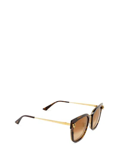 Cartier Sunglasses In Brown