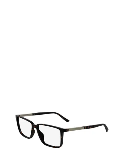 Calvin Klein Eyeglasses In Brown