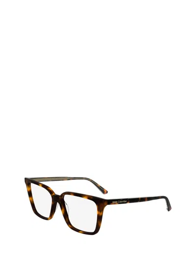 Calvin Klein Eyeglasses In Brown