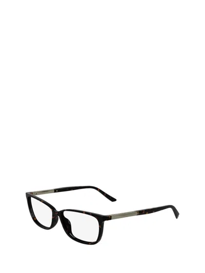 Calvin Klein Eyeglasses In Brown