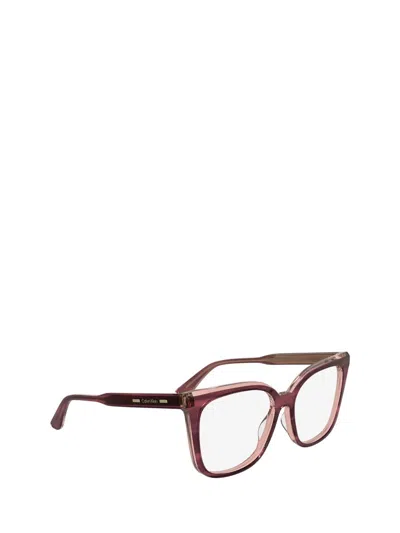 Calvin Klein Eyeglasses In Burgundy