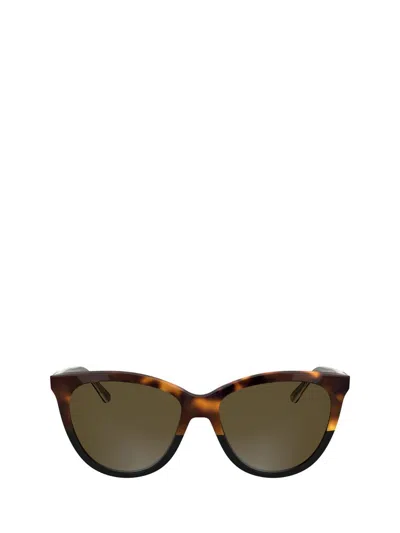 Calvin Klein Sunglasses In Brown