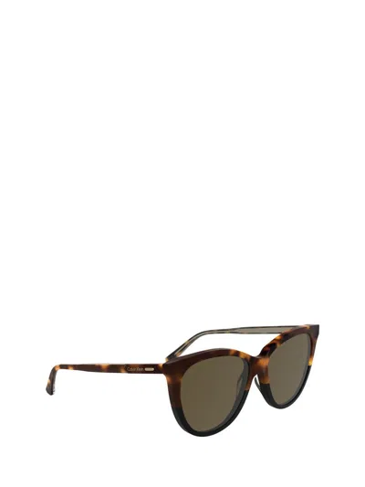 Calvin Klein Sunglasses In Brown