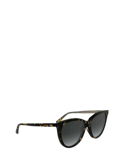 Calvin Klein Sunglasses In Brown