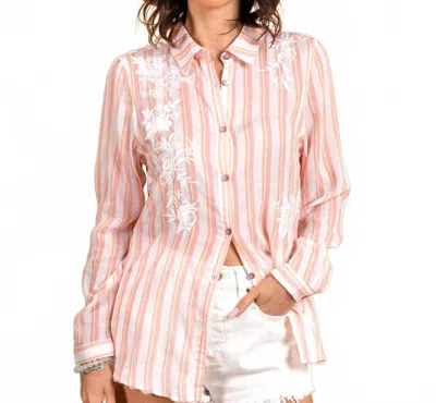 Paparazzi Embroidered Yarn Dye Long Sleeve Shirt In Peach In Pink