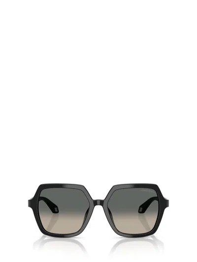 Giorgio Armani Sunglasses In Black