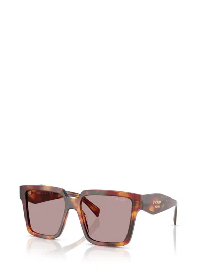 Prada Eyewear Sunglasses In Brown